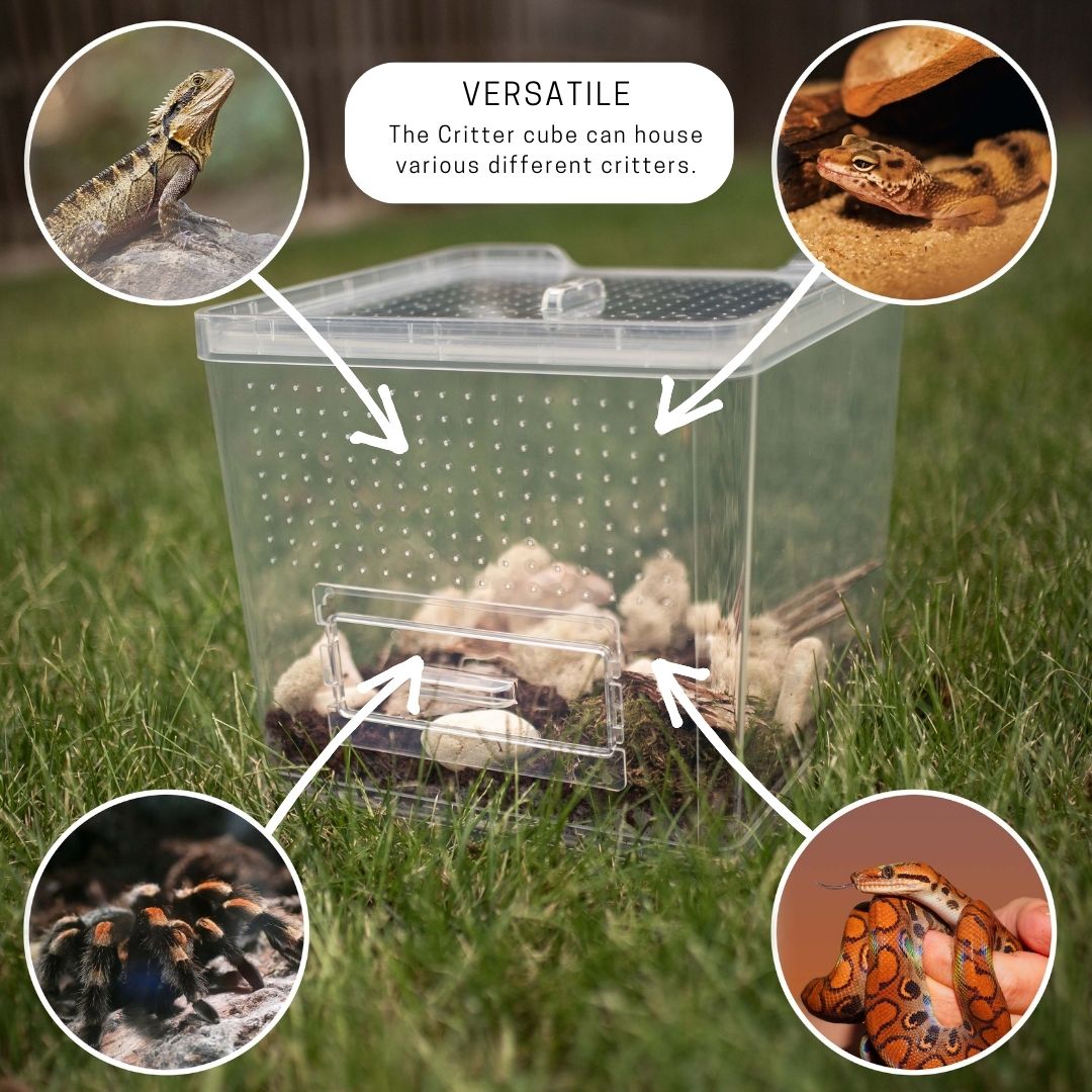 The versatile Critter Cube