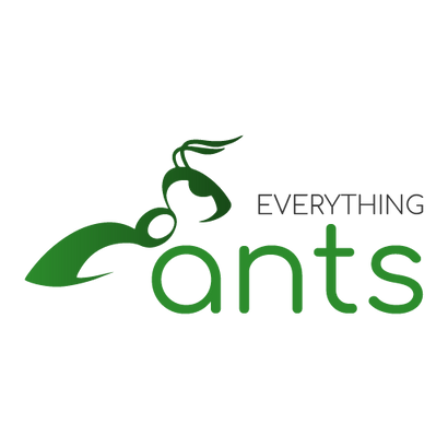 Everything Ants