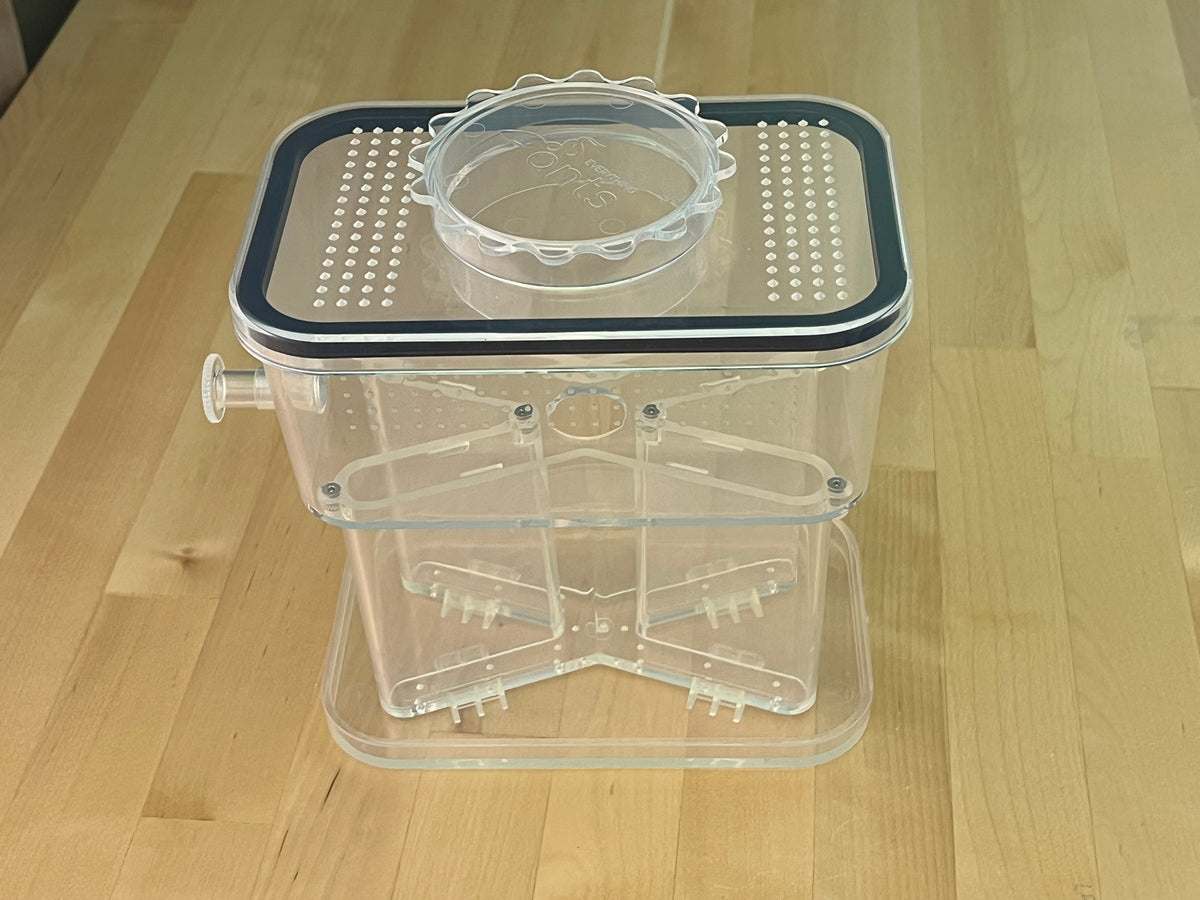 X Ant Farm - All-In-One Nest and Outworld - Everything Ants