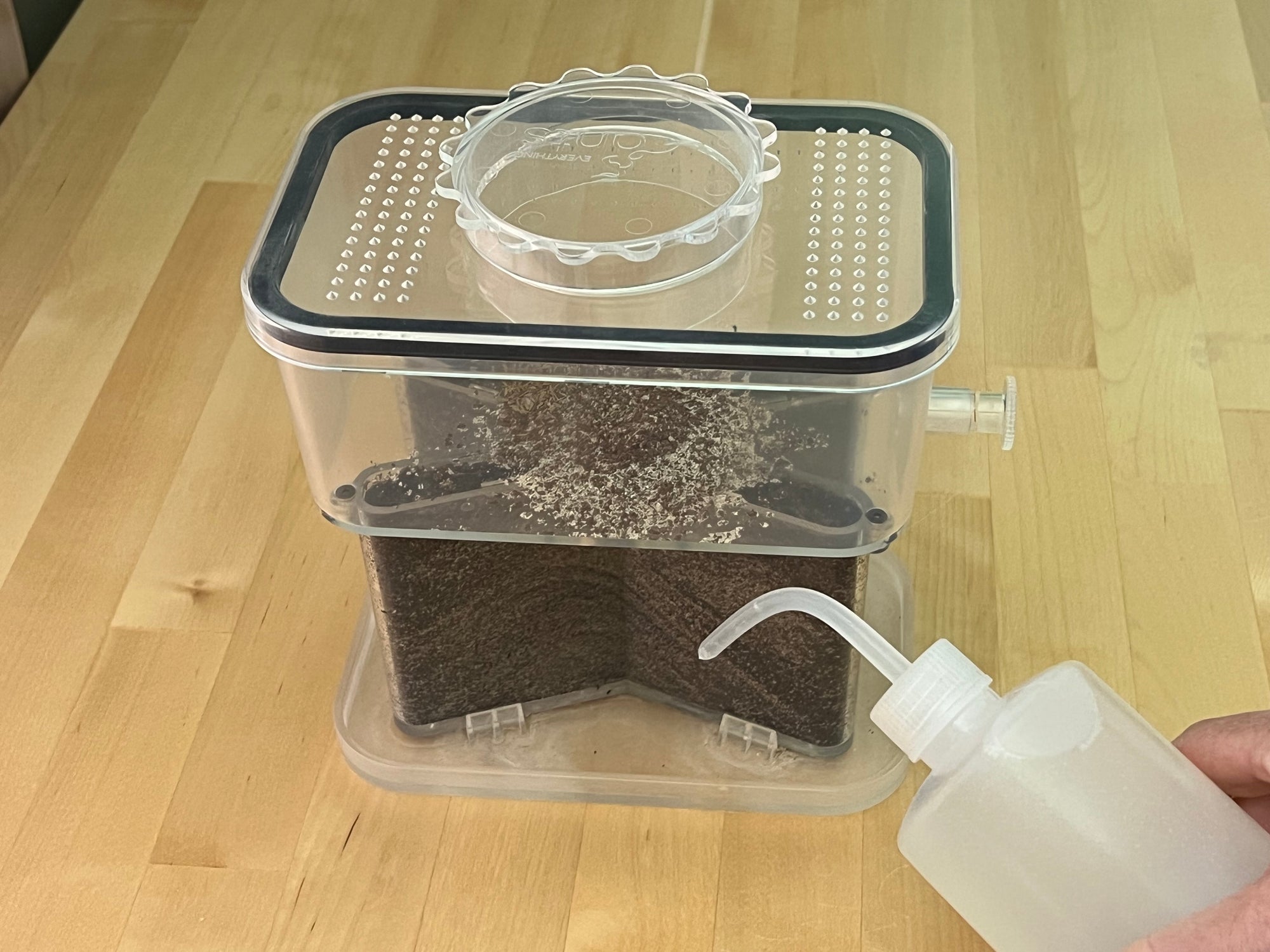 X Ant Farm - All-In-One Nest and Outworld