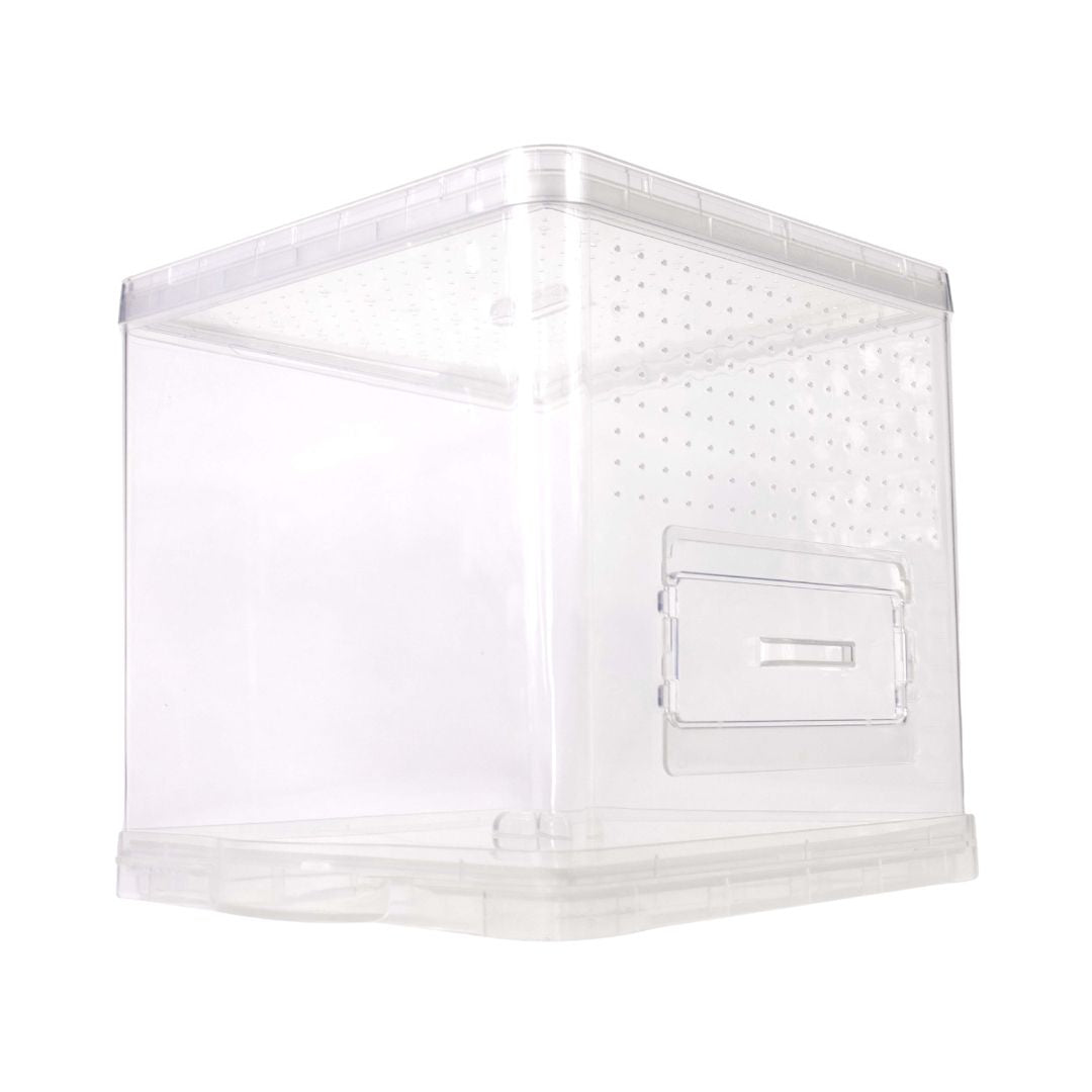 Critter Cube Reptile Enclosure