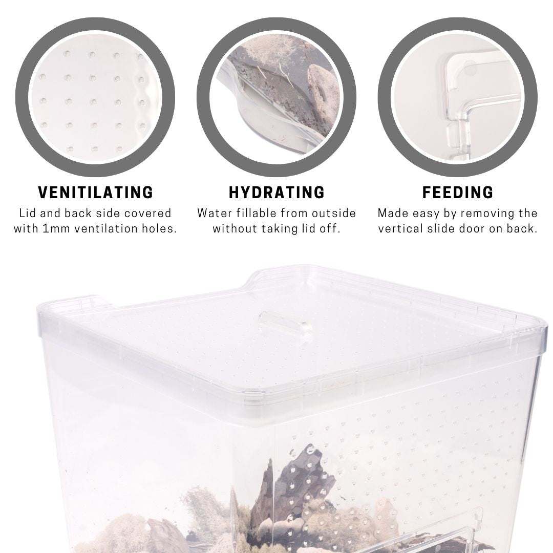 Critter Cube Reptile Enclosure