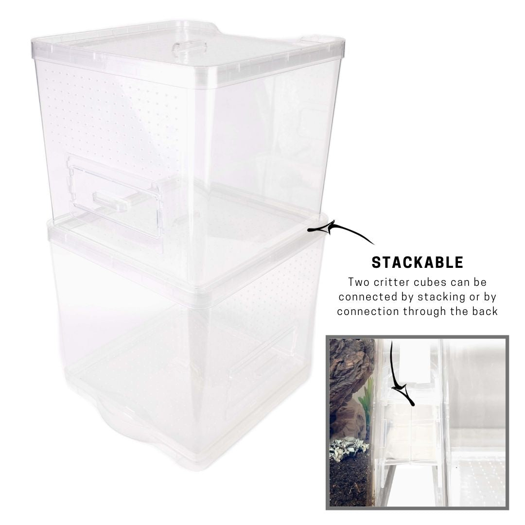 Critter Cube Reptile Enclosure